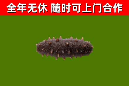 江汉区烟酒回收干海参.jpg